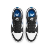 Nike SB Alleyoop Shoes