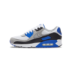 Nike Air Max 90 Shoes