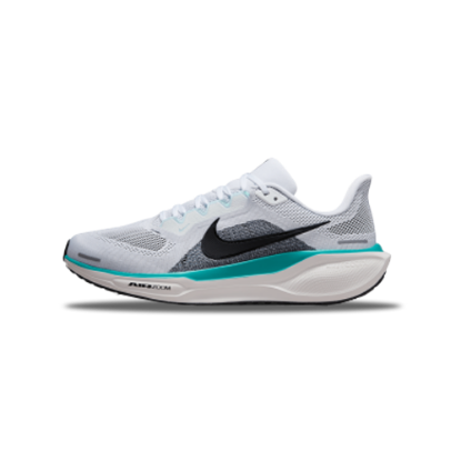Nike Air Zoom Pegasus 41 Shoes