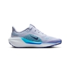 Nike Air Zoom Pegasus 41 Shoes