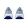 Nike Air Zoom Pegasus 41 Shoes