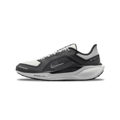 Nike Pegasus 41 Gore-Tex Shoes