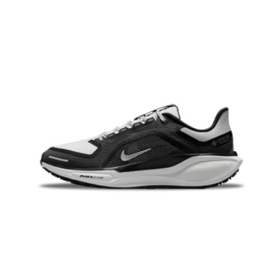 Nike Pegasus 41 Gore-Tex Shoes