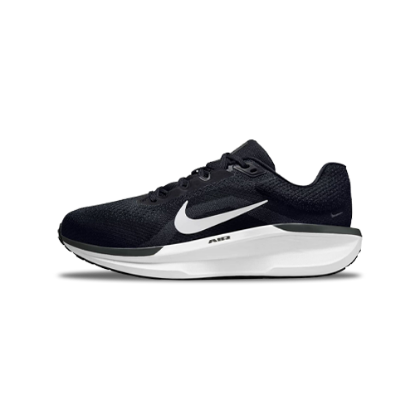 Nike Air Winflo 11 Shoes