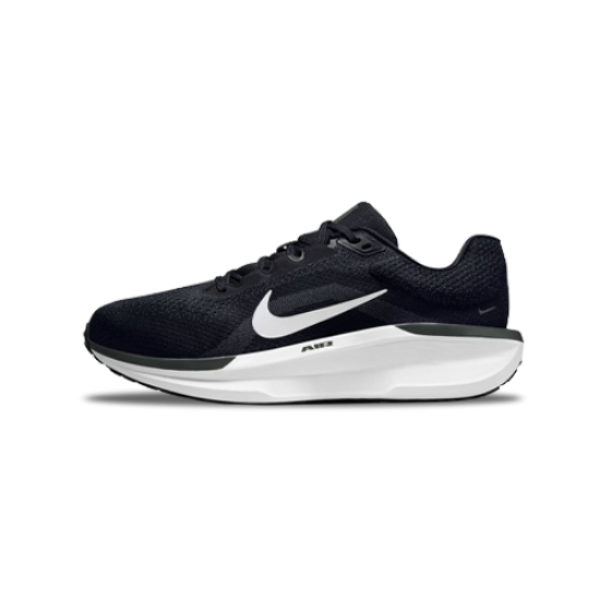Nike Air Winflo 11 Shoes
