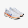 Nike Air Zoom Pegasus 41 FP Shoes