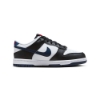 Nike Dunk Low Shoes