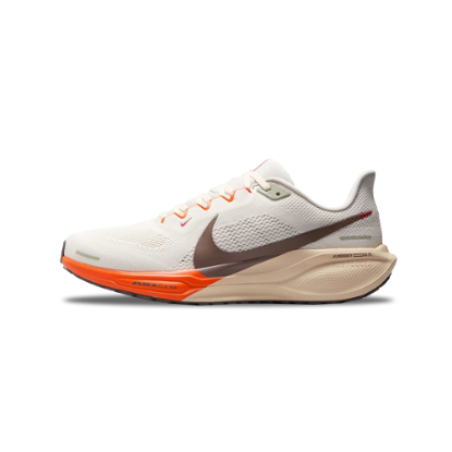 Nike Air Zoom Pegasus 41 Shoes