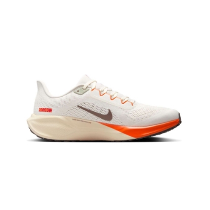 Nike Air Zoom Pegasus 41 Shoes