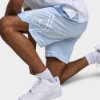 Jordan Mesh Diamond Shorts